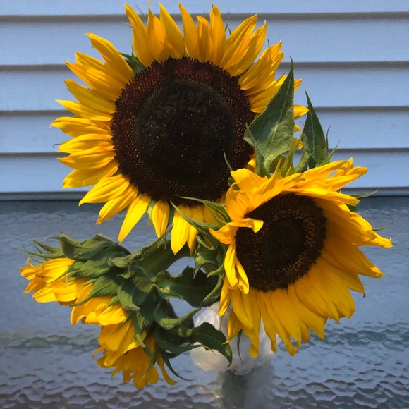 Meet your Posher, Cathy - Picture 1 of 1